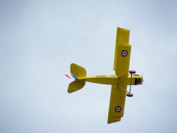 Flugtage