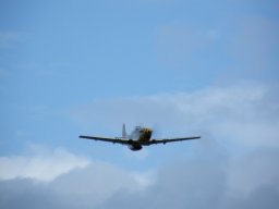 Flugtage