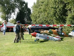 Flugtage