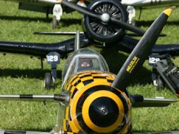 Flugtage
