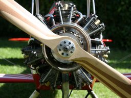 Flugtage