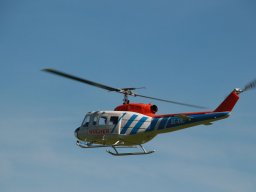 Flugtage