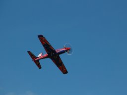 Flugtage