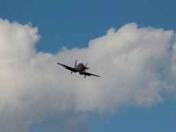 Flugtage