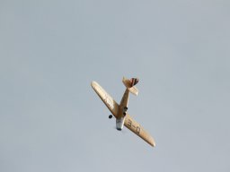 Flugtage