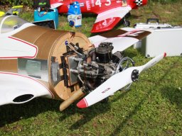 Flugtage