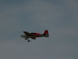 Flugtage