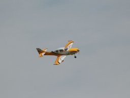 Flugtage
