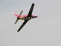 Flugtage