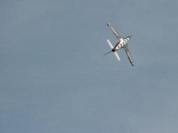 Flugtage