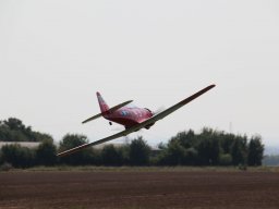 Flugtage