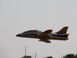 Flugtage