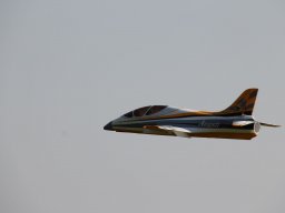 Flugtage
