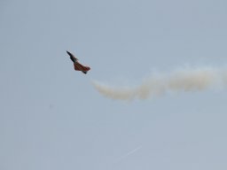 Flugtage
