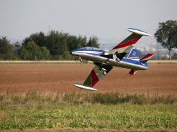 Flugtage
